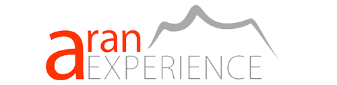Aranexperience logo