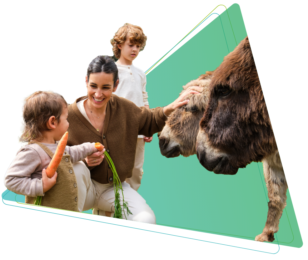 Granjas Interactivas 3 Granjas Interactivas