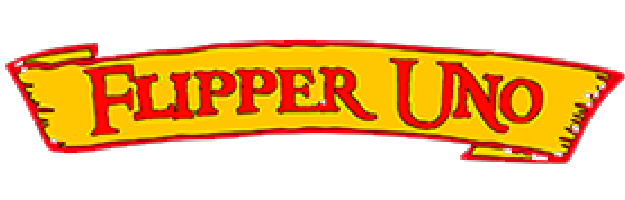 Water activities 9 flipper one