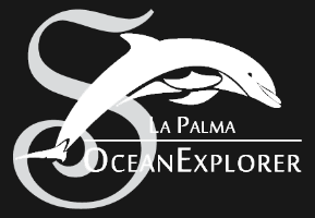 Water activities 10 ocean