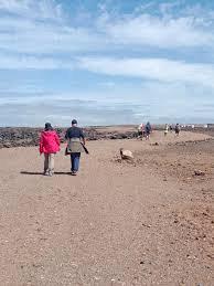 I am Canary Green 5 images 1